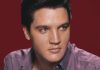 Elvis Presley Songs, Net Worth And Death